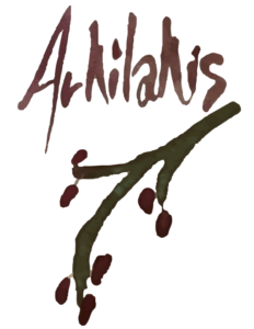 Logotipo de arkilakis, el cual contiene una rama de olivo con siete aceitunas.