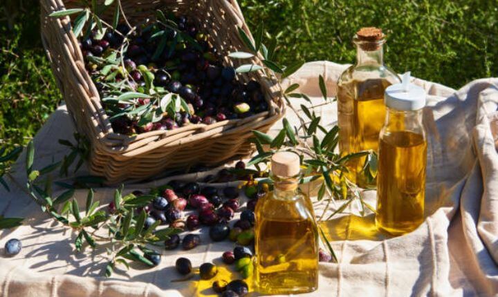 Botellas de aceite saludable sobre una manta de picnic y detrás una cesta con uvas.